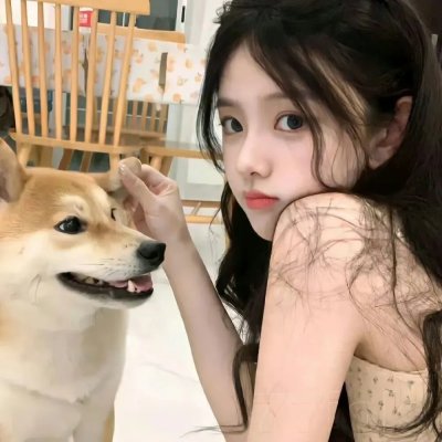 阿蒂米德的膝盖