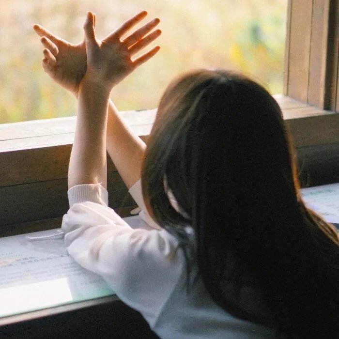 怪物弹珠新系列 诺亚 方舟的救世主